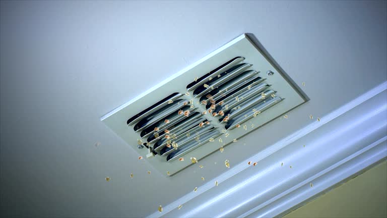 Best Dryer Vent Cleaning Services  in Ishpeng, MI