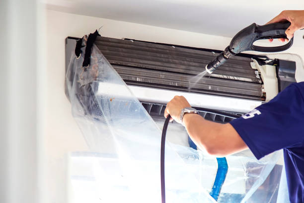 Best Ductwork Cleaning Services  in Ishpeng, MI